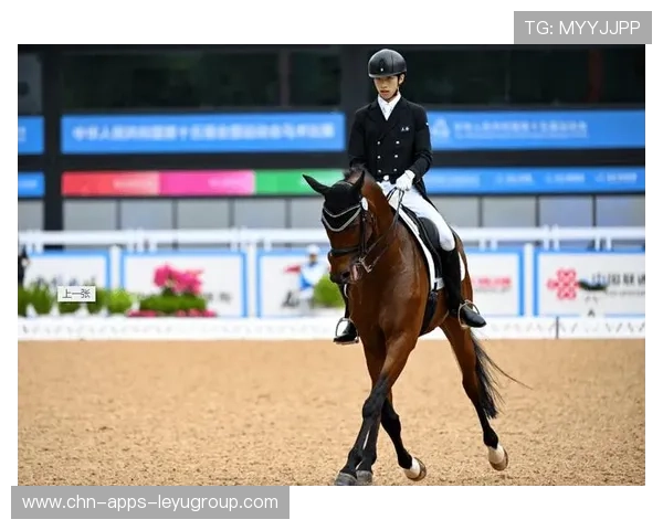 上海队揽十五运会马术首金！新疆、广东分获银铜，第25届上海马拉松